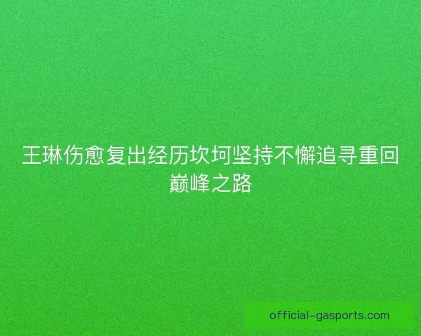 王琳伤愈复出经历坎坷坚持不懈追寻重回巅峰之路