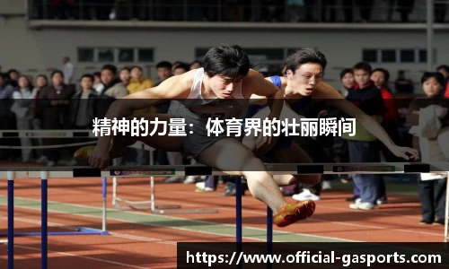 GA黄金甲体育